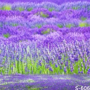 Nature Photography Backdrops Purple Lavender Flowers Background