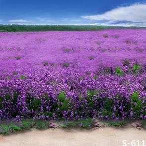 Nature Photography Backdrops Lavender on the Prairie Background