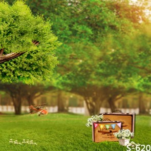 Nature Photography Backdrops Lawn Big Banyan Tree Background