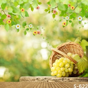 Nature Photography Backdrops Flowering Tree Grapes Background