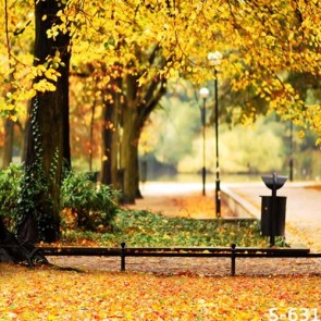 Nature Photography Backdrops Road Golden Leaves Autumn Background