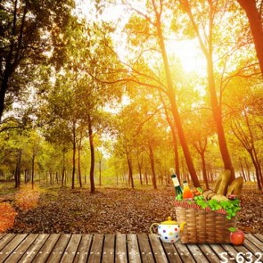 Nature Photography Backdrops Morning Jungle Breakfast Background