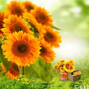Nature Photography Backdrops Sunflower Flower Grass Background