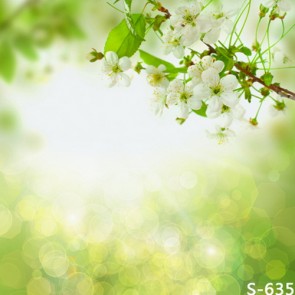 Nature Photography Backdrops White Flowers Sunlight Background