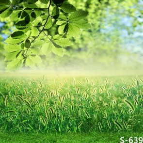 Nature Photography Backdrops Green Leaf Green Bristlegrass Background