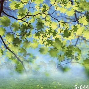 Nature Photography Backdrops Green Maple Leaf Tree Background