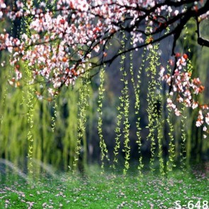 Nature Photography Backdrops Pink White Flowers Willow Background