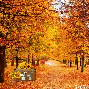 Nature Photography Backdrops Golden leaves Autumn Sunflower Flower Background