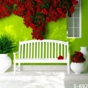 Door Window Photography Backdrops Red Roses Green Wall Background
