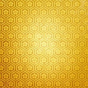 Photography Backdrops Gold Honeycomb Texture Style Background For Photo Studio