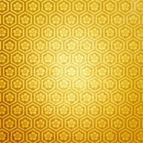 Photography Backdrops Gold Honeycomb Texture Style Background For Photo Studio