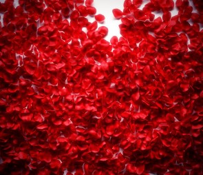 Photography Background Red Rose Petals Flowers Wall Backdrops