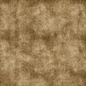 Old Master Photography Background Light Brown Backdrops Photo Studio