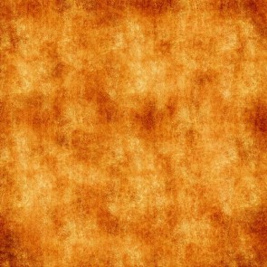 Old Master Photography Background Bright Orange Backdrops Photo Studio