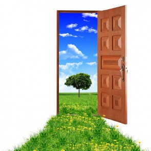 Brown Door Blue Sky Grassland Abstract Photography Background Backdrops