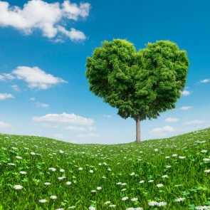 Green Love Tree Prairie Blue Sky Abstract Photography Background Backdrops