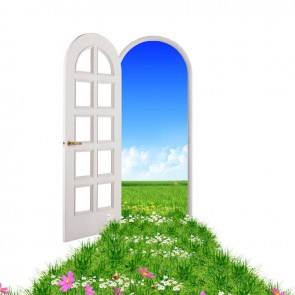 Flower Grassland Blue Sky Photography Backdrops Abstract White Door Background