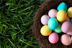 Nest Photography Grass Background Easter Eggs Backdrops