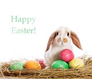 Happy Easter Photography Background Eggs Bunny White Backdrops