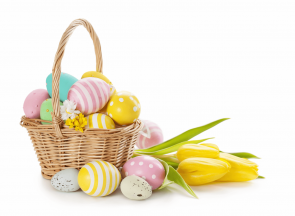 Yellow Tulip Photography Background Easter Eggs White Backdrops