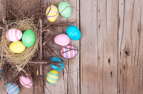 Bird Nest Photography Background Easter Eggs Backdrops For Photo Studio