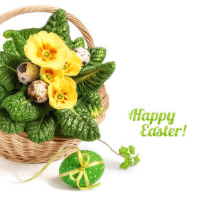 Photography Backdrops Yellow Flowers Vegetable Leaves Easter Background