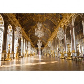 Photography Background France Versailles Golden Palace Backdrops