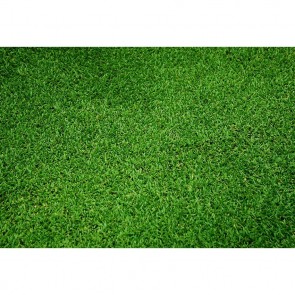 Sport Photography Background Green Lawn Backdrops For Photo Studio