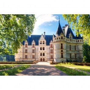 Photography Backdrops Blue White Castle Manor Tourist Background