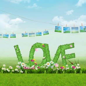 Photography Background Green Love Valentine's Day Grass Blue Sky Backdrops