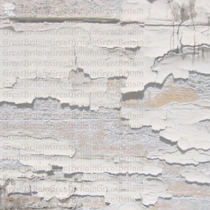 Photography Background Crevasse Crack White Brick Wall Grunge Dilapidated Backdrops