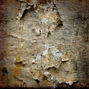 Photography Background Crevasse Crack Wood Wall Grunge Dilapidated Backdrops