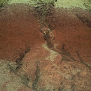 Photography Background Wine Red Grunge Dilapidated Backdrops