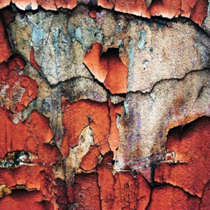 Photography Background Crevasse Crack Red Wall Grunge Dilapidated Backdrops