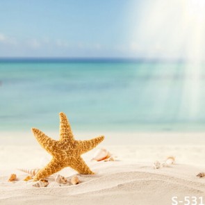 Photography Backdrops Starfish Beach Sunshine Background