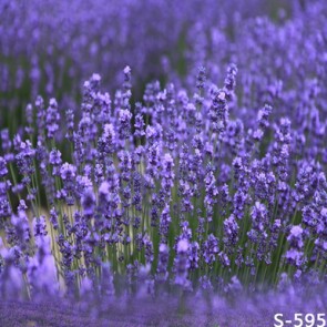 Photography Backdrops Purple Lavender Flowers Background