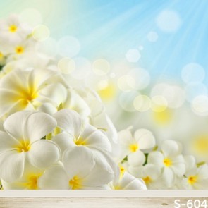 Photography Backdrops White Flowers Sunshine Flowers Background