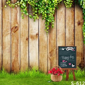 Photography Background Wood Wall Green Leaves Red Roses Valentine's Day Backdrops