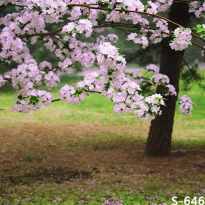 Photography Backdrops Pink Cherry Blossom Tree Flowers Background