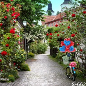 Photography Backdrops Flower Bike Alley Street View Background
