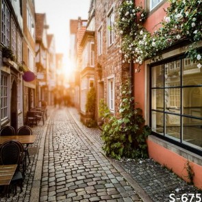 Photography Backdrops Alley Town Europe Street View Background