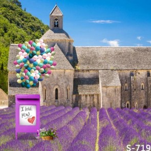 Photography Backdrops Lavender Manor Balloon Tourist Background