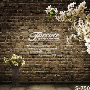 Photography Backdrops White Flowers Grey Brick Wall Background
