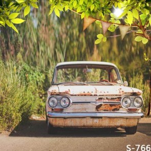 Photography Backdrops Dilapidated Car Leaves Background