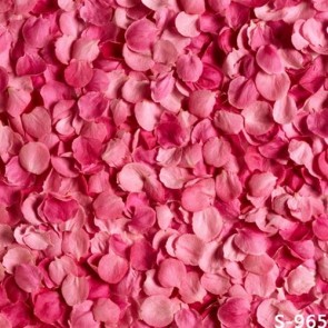 Photography Backdrops Pink Petals Flower Wall Background