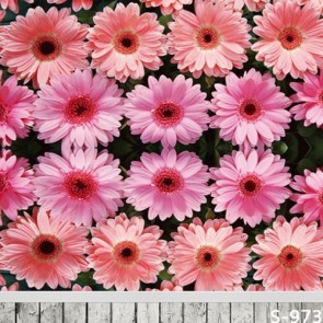 Photography Backdrops Pink Chrysanthemum Flowers Wall Wood Floor Background