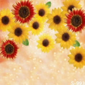 Photography Background Yellow Red Chrysanthemum Flowers Backdrops